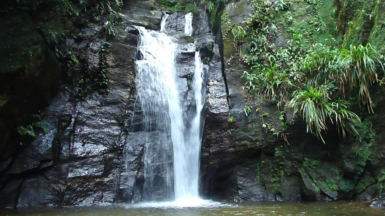 Horto Waterfall and Vista Chinesa in Rio de Janeiro: where it is and how to get there : Horto Waterfall Trail - Cachoeira do Chuveiro