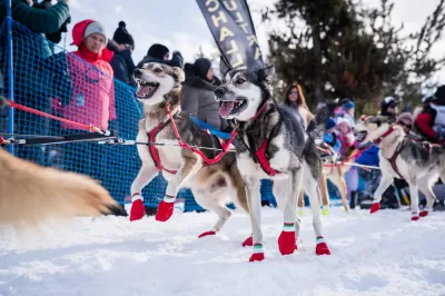 Idaho Sled Dog Challenge returns Jan. 30-Feb. 3 : The Idaho Sled Dog Challenge is returning to the West Central Mountains of Idaho Jan. 30-Feb. 3 during the 2022 McCall Winter Carnival. Part of the Rocky Mountain Triple Crown, the race features world-class mushers and is an Iditarod and Yukon Quest qualifier. This year most events will be staged in Cascade at the Lake Cascade boat ramp on Lake Cascade Parkway between Lakeshore Bar & Grill and the Van Wyck Campground. Race organizers are seeking volunteers to staff checkpoints and help handle dogs, so visit idahosleddogchallenge.com if you're interested.