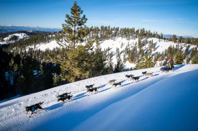 Idaho Sled Dog Challenge returns Jan. 30-Feb. 3 : The Idaho Sled Dog Challenge is returning to the West Central Mountains of Idaho Jan. 30-Feb. 3 during the 2022 McCall Winter Carnival. Part of the Rocky Mountain Triple Crown, the race features world-class mushers and is an Iditarod and Yukon Quest qualifier. This year most events will be staged in Cascade at the Lake Cascade boat ramp on Lake Cascade Parkway between Lakeshore Bar & Grill and the Van Wyck Campground. Race organizers are seeking volunteers to staff checkpoints and help handle dogs, so visit idahosleddogchallenge.com if you're interested.