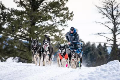 Idaho Sled Dog Challenge returns Jan. 30-Feb. 3 : The Idaho Sled Dog Challenge is returning to the West Central Mountains of Idaho Jan. 30-Feb. 3 during the 2022 McCall Winter Carnival. Part of the Rocky Mountain Triple Crown, the race features world-class mushers and is an Iditarod and Yukon Quest qualifier. This year most events will be staged in Cascade at the Lake Cascade boat ramp on Lake Cascade Parkway between Lakeshore Bar & Grill and the Van Wyck Campground. Race organizers are seeking volunteers to staff checkpoints and help handle dogs, so visit idahosleddogchallenge.com if you're interested.
