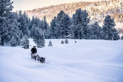 Idaho Sled Dog Challenge Returns Jan. 21-Feb. 3 : MCCALL, Idaho (Jan. 9, 2023) -- SNOW ROVERS -- The Idaho Sled Dog Challenge is returning to the West Central Mountains of Idaho Jan. 21-Feb. 2, 2023, for its fifth year. Part of the Rocky Mountain Triple Crown, the race features world-class mushers and is an Iditarod and Yukon Quest qualifier. Pictured here on Feb. 2, 2022, Wade Donaldson from Coalville, Utah, drives his sled dog team towards the finish line of the 100-mile race, in which they finished third place. He is competing in the 100-mile race this year along with his brother, Dallin Donaldson, also from Coalville. (Photo by Melissa Shelby)