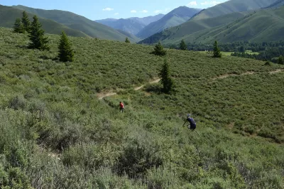 SKI IDAHO THIS SUMMER : America's first destination ski resort and birthplace of the chairlift, Sun Valley Resort boasts a dozen biking and hiking trails, including the longest purpose-built downhill mountain-bike trail in the U.S., dropping 3,350 vertical feet. Riders also have easy access to more than 30 miles of paved, car-free bike paths throughout the Wood River Valley. Eleven of Idaho's 19 ski areas offer mountain biking in the summer, as well as scenic chairlift and gondola rides, hiking and trail running, disc golf, zipline tours, horseback riding, and more. Visit skiidaho.us for more details. (Photo by Gary Peterson for Ski Idaho)