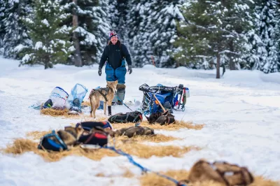 Sled dog rides, teacher training, classroom connections planned for 2023 Idaho Sled Dog Challenge : The Idaho Sled Dog Challenge is returning to the West Central Mountains of Idaho Jan. 21-Feb. 2, 2023, for its fifth year. Part of the Rocky Mountain Triple Crown, the race features world-class mushers and is an Iditarod and Yukon Quest qualifier. Pictured here, musher Bailey Vitello from Milan, N.H., took second place in the 2022 Idaho Sled Dog Challenge's 300-mile race. (Photo by Melissa Shelby)