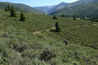 Ski Idaho This Summer: 60 percent of Idaho ski areas offer summer mountain biking adventures : America's first destination ski resort and birthplace of the chairlift, Sun Valley boasts hundreds of miles of singletrack and more than 3,000 vertical feet of lift-served descent. Riders also have easy access to more than 30 miles of paved, car-free bike paths throughout the Wood River Valley. 