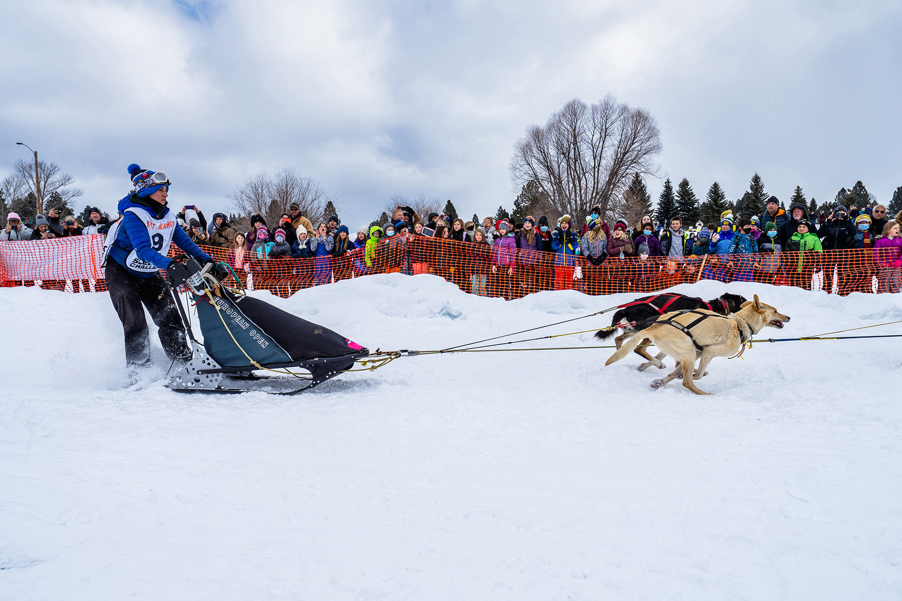 Sled dog rides, teacher training, classroom connections planned for