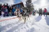 Idaho Sled Dog Challenge returns Jan. 30-Feb. 3