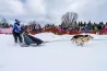 Sled dog rides, teacher training, classroom connections planned for 2023 Idaho Sled Dog Challenge
